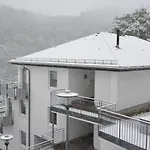 Modernes Mit Zentralheizung In Apartment Willingen (Upland)