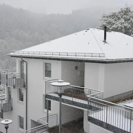 Modern In With Heating Appartement Willingen (Upland)
