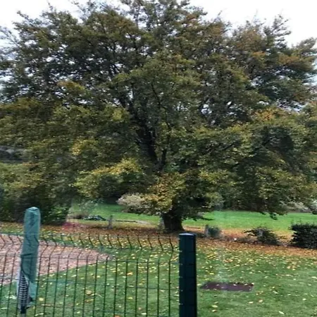 Modernes Mit Zentralheizung In Apartament