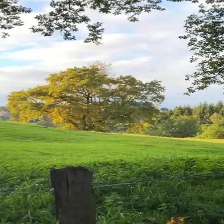 Modernes Mit Zentralheizung In Apartament Willingen (Upland)