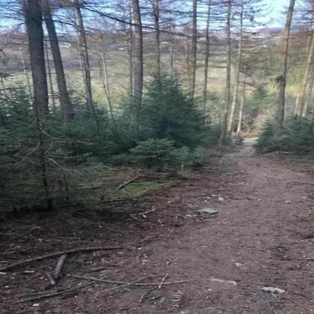 Modernes Mit Zentralheizung In Willingen (Upland)