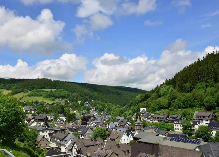 Modernes Mit Zentralheizung In Willingen (Upland)