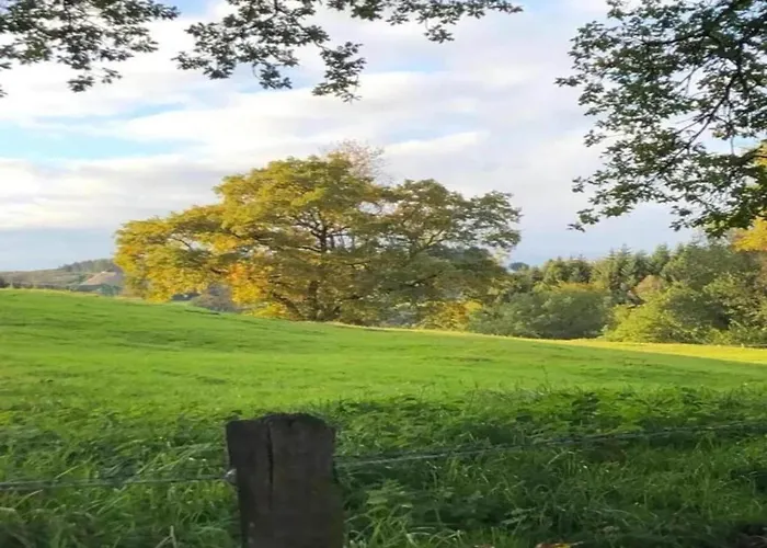 Modernes Mit Zentralheizung In Lägenhet Willingen (Upland)