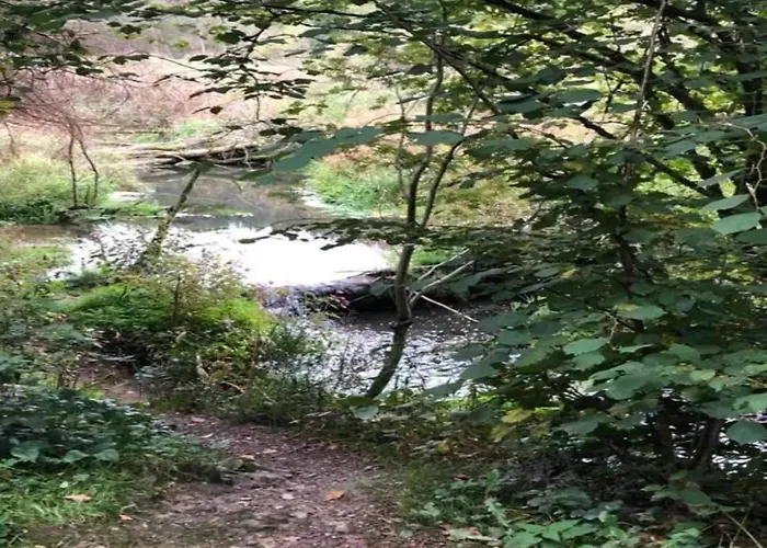 Modernes Mit Zentralheizung In Lägenhet Willingen (Upland)
